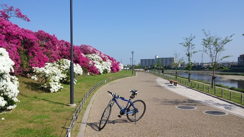 ５月１日 (9)
