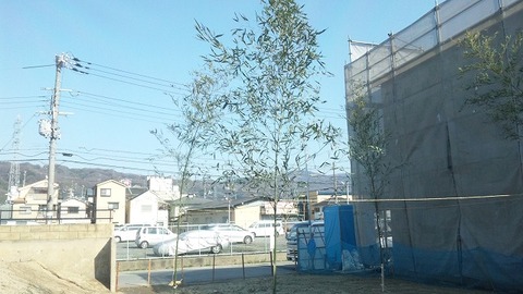 大東市 (1)