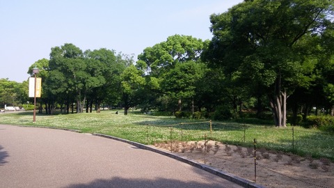 20170530_075040
