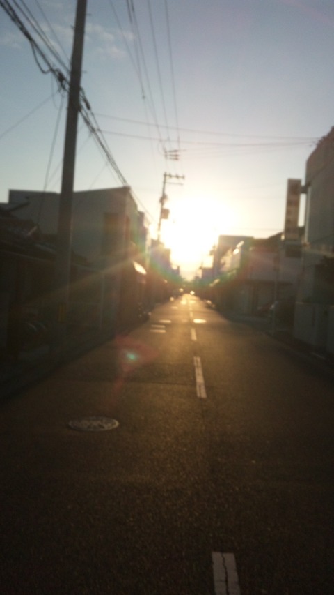SH3I0175