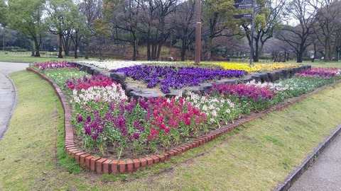 20170401_075435