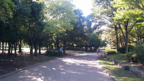 20170929_080706