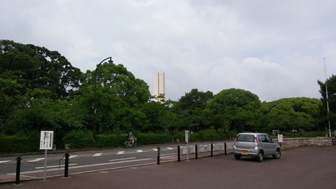 20170602_073317