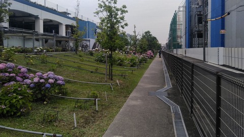 KIMG5405