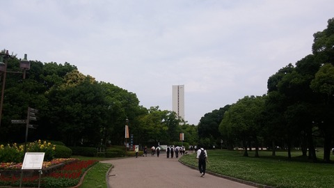 20170704_081646
