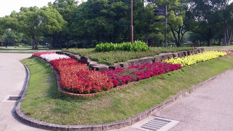 20170530_075134