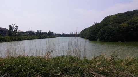 20170731_140122