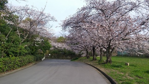 20170406_072341