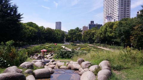 20170913_120203