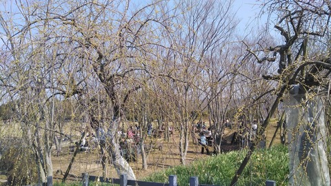 KIMG2003