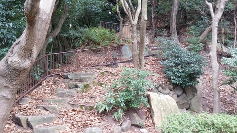 20170311_132154