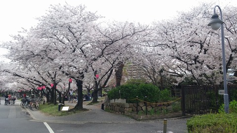 20170409_123041