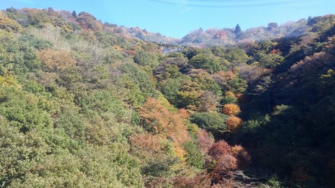 20171101_123435