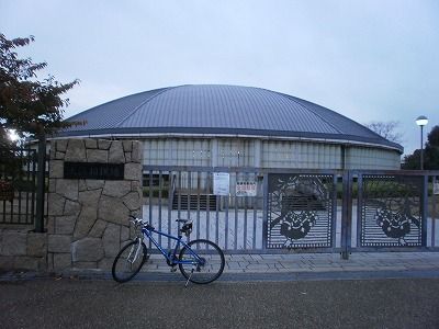 PB110010