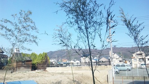 大東市 (2)