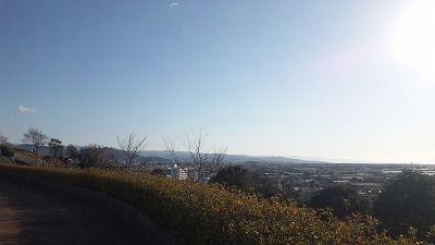 SH3I0211
