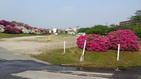 20170501_072554