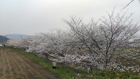 KIMG2761