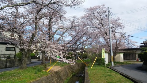20160402_081855