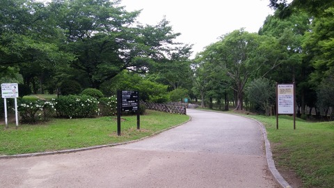 20170627_080249