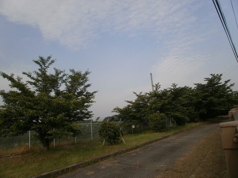 P5260006