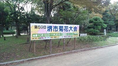 SH3I0444