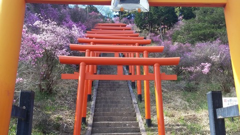 20170418_153859