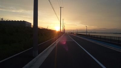 SH3I0449