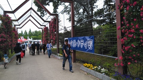 KIMG3916