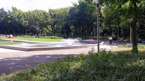 20170913_115903_HDR