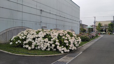 KIMG5416