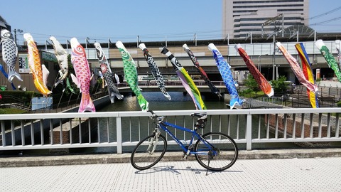 ５月１日 (5)