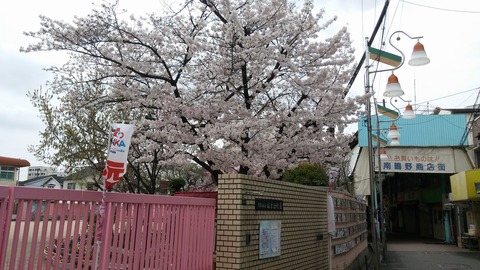 20170409_120451