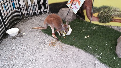 20150419_171324