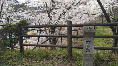 KIMG2857