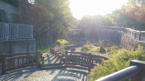20171117_080121