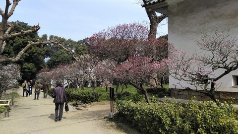 KIMG2519