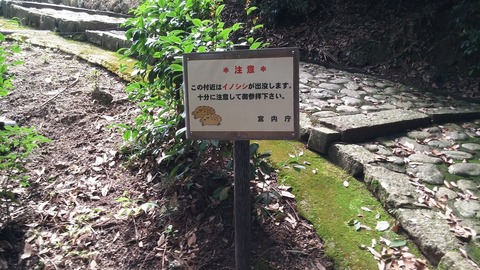 20170727_141022