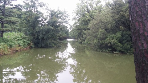 20170705_072104