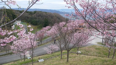 20170406_150431