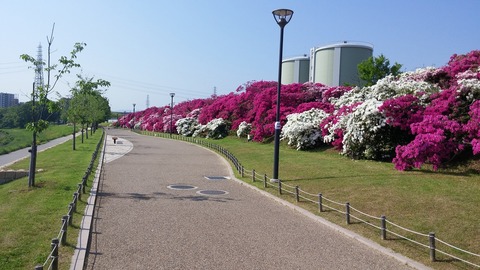 ５月１日 (8)