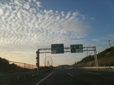 P8110014
