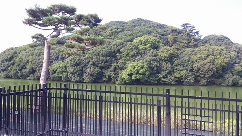 20170802_074550