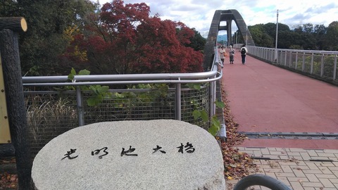 KIMG0852