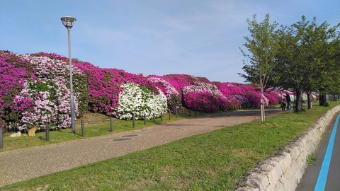 KIMG3599