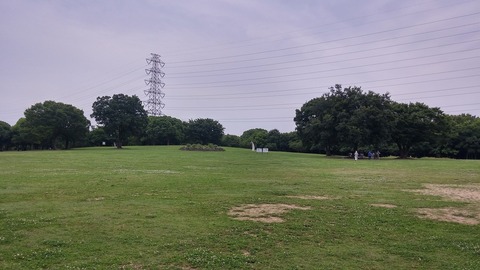 20170627_080630_HDR