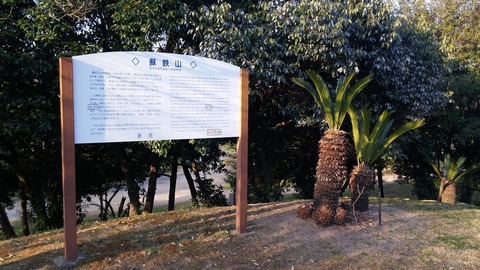 20170404_070029