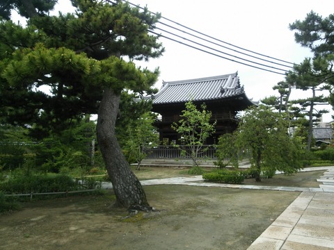 ７月４日 (3)