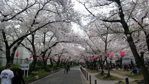20170409_123126