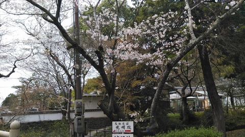 KIMG7211